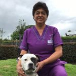 servicios generales guarderia canina