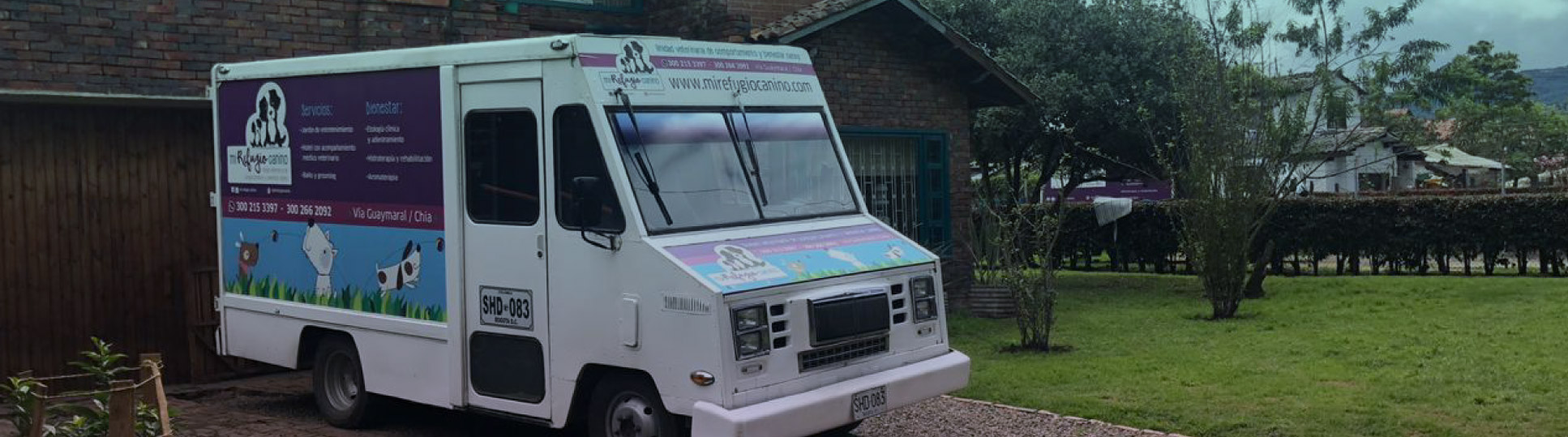 guarderia-canina-con-transporte transporte canino
